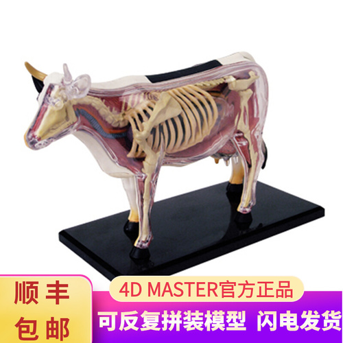 인체 모형 4D 마스터 퍼즐 동물 바이오 젖소 기구-624155