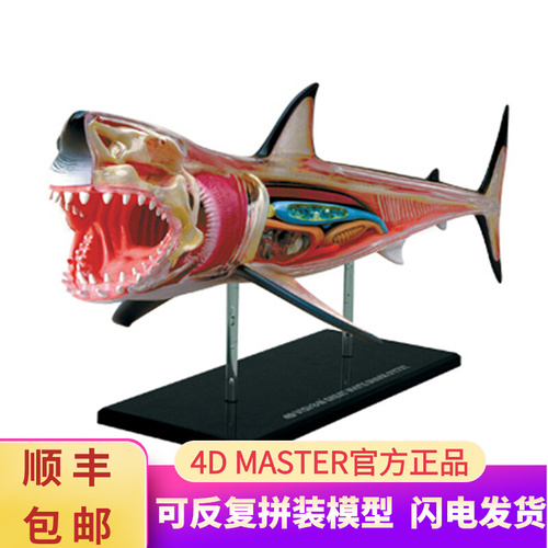 인체 모형 4D 마스터 퍼즐 동물 생물 상어-624166