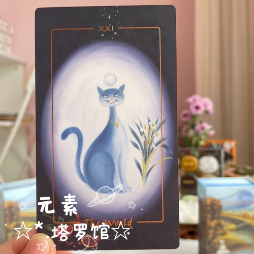 타로 카드 Feline Rider Tarot 사계절 야옹성 탑
