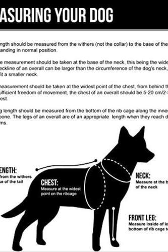 후르타 레인 블로커 ECO,레인코트,헤지,22인치 강아지 자켓 반려견 패딩-640711