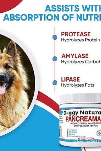 반려견 영양제 미국 PancreaMax 10x 고양이와 용 췌장 소화 효소 보충제 (12온스) 파우더-641827