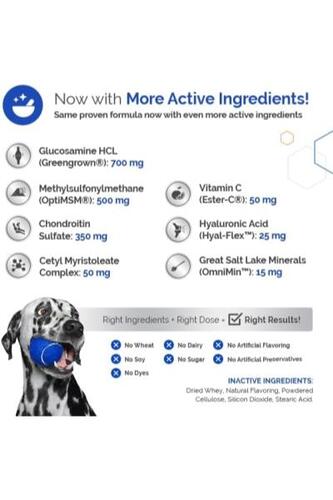 반려견 영양제 미국 탑독 건강 Glycanaid HA Glucosamine for Dog Hip 및 관절 보충제 미국산 츄 히알루론산 애견 엉덩이-641821