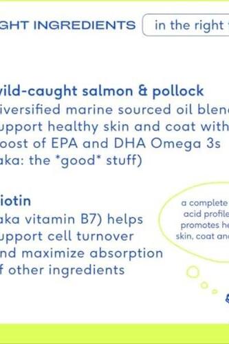 반려견 영양제 미국 오메가 3 EPA DHA가 함유된 토종 오일 보충제 가려운 피부 이동을 지원 8온스-641859