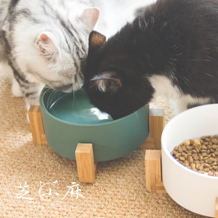 반려동물 고급 식기 스탠드 고양이 그릇 개 그릇 도자기 고양이 그릇 단 그릇 물 물 물-514658