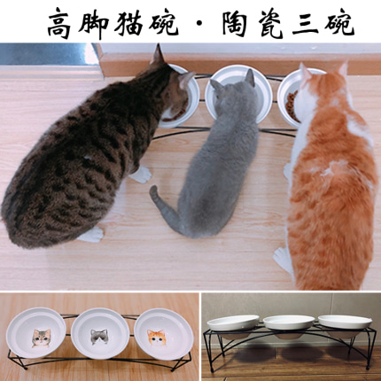반려동물 고급 식기 스탠드 고양이 그릇 세 그릇 도자기 고각 철골조 고양이목보호 경추수분소-514683