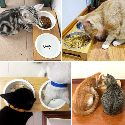 반려동물 고급 식기 스탠드 고양이 그릇 밥그릇 도자기 고양이 식량 물대야-514728