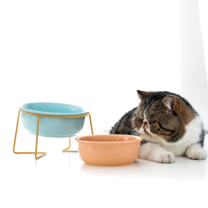 반려동물 고급 식기 스탠드 고양이 그릇 도자기 고양이 식량 그릇 강아지 그릇 보호 목보호-514747