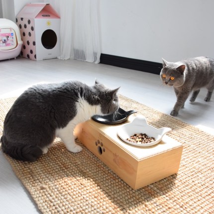 반려동물 고급 식기 스탠드 고양이 그릇 고양이 개 용품 도자기 고양이 그릇 선반-514755