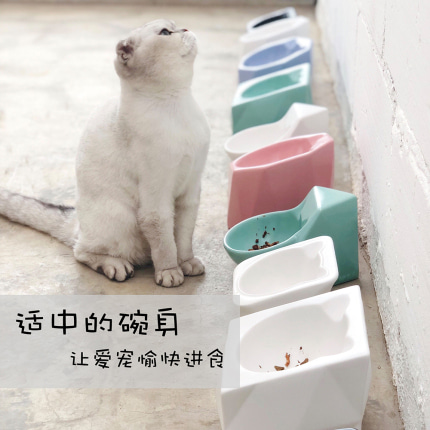 반려동물 고급 식기 스탠드 신상품 고양이 그릇 개똥지빠귀-514761