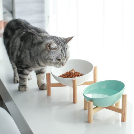 반려동물 고급 식기 스탠드 도자기 고양이 그릇 개 고양이 양식 개 식량 식수 물 큰 사이즈 대형-514770