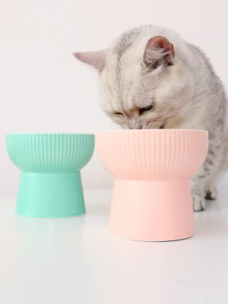 반려동물 고급 식기 스탠드 고양이 그릇 고양이 물그릇 고양이 물그릇 고양이 식량 그릇 보호-514792