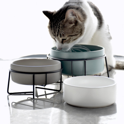 반려동물 고급 식기 스탠드 도자기 고양이 그릇 철제 고양이 식량 그릇 강아지 그릇 식수 그릇-514824