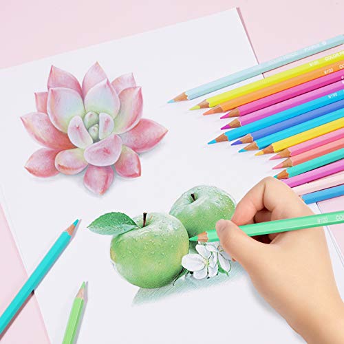 Marco 24 색 색연필 Art Pencils Drawing Pencils Professional Arts and Crafts Set Vivid Colors Pastel Pencils 미국출고 -564220