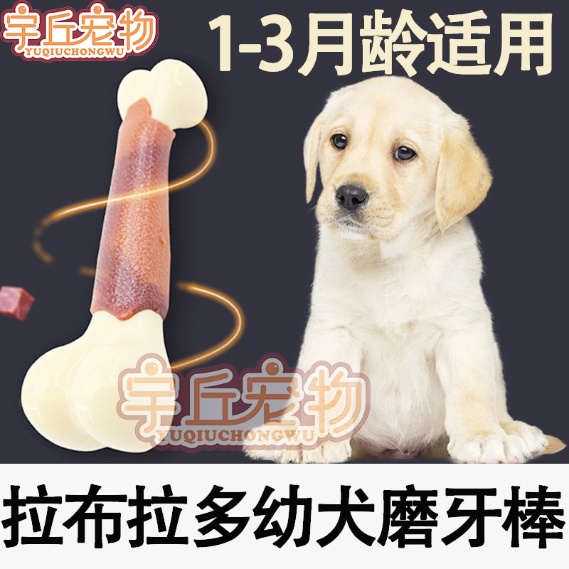 강아지 애견 장난감 래브라도 껌딱지 애완견 전용 강아지 쫄깃쫄깃 대형-574573