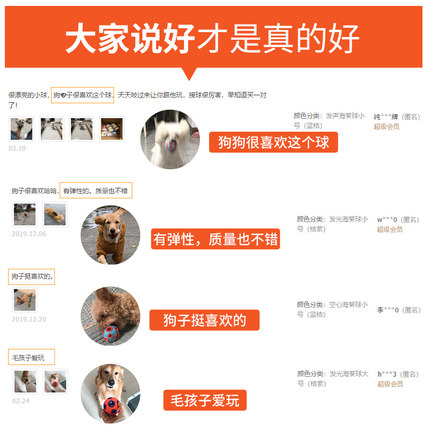 강아지 애견 장난감 강아지 고양이 공, 애완견 물림에 강한 탄력 신기 고양이 방울, 강아지 빛내기 공-574602
