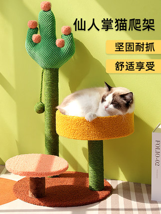 고양이집  선인장 고양이 기어오르기 선반 고양이 기둥잡기 고양이 집 고양이 나무 일체 소형 인간 고양이 공용-575747