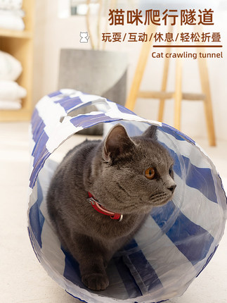 고양이집  고양이 터널 통로 고양이 굴리는 용 조합 사계절 고양이 인형 접이식 고양이 놀리기-575770
