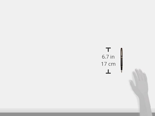 몽블랑의 145마이스터스턱 클래식 골드 미디엄 펜촉 미국 만년필