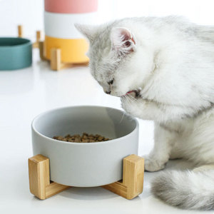 반려동물 고급 식기 스탠드 도자기 고양이 그릇 고양이 식량 그릇 강아지 그릇 식수 그릇 쌍-514758