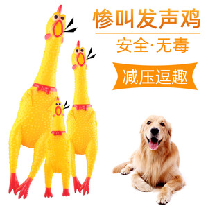 강아지 애견 장난감 강아지 장난감 울부짖음 닭 비명 닭, 애완견 장난감 싸움-574605