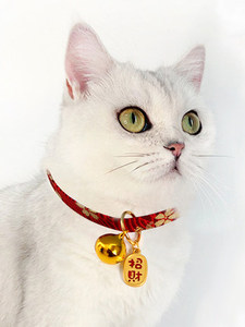 반려견 애완견 목줄  고양이 목걸이 고양이 목방울 고양이 벼룩 방지 고양이 목걸이-576622