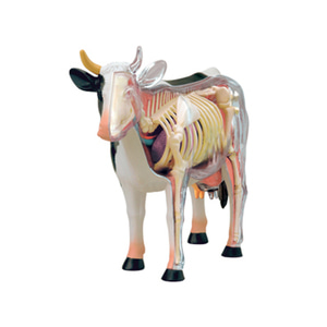 인체 모형 4D 마스터 퍼즐 동물 바이오 젖소 기구-624155
