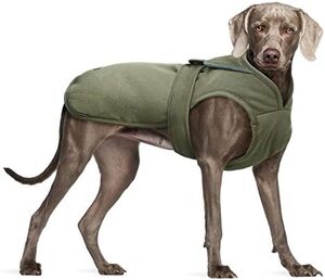쿠오저 캔버스  겨울 코트,따뜻한  재킷 반사 플리스  방한 코트 따뜻한  옷 강아지 자켓 반려견 패딩-640719